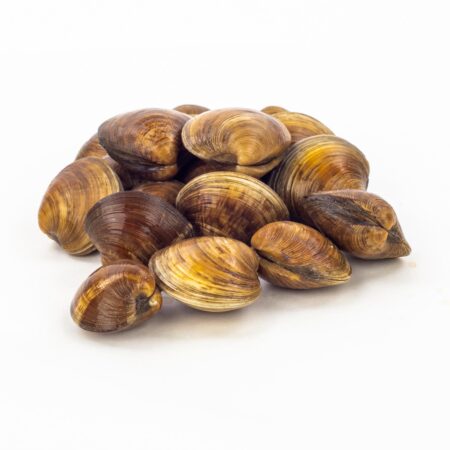 Pastaneck Clams 1lb