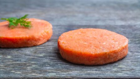 Organic Salmon Burger - Regular