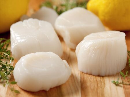 Sea Scallops size 10-20