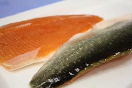 Arctic Char Fillet - Iceland
